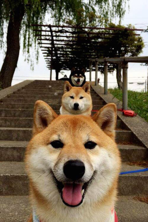 切尔西前场配合提升破门效率，切尔西前场配合提升破门效率的球员